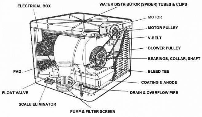 שכן מים המועברים לרפידות על ידי משאבת המים מתאדים מתחת לאוויר המועף דרך הרפידות על ידי מנוע הצידנית