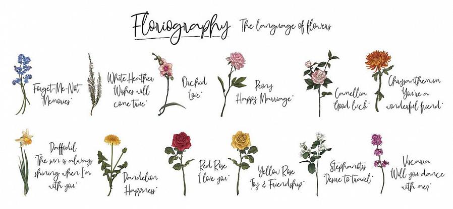 הנה כמה פרחי גן וזר פופולריים ומשמעויותיהם כדי לגרום לך לחשוב