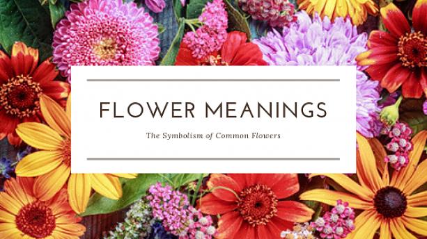 הכלל הראשון במתן פרחים לבן הזוג שלך הוא לדעת ולתת להם את מה שהם אוהבים באופן אישי