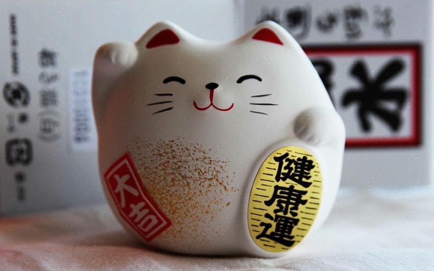 חתול המזל הוא תרופה שמגיעה מהתרבות היפנית