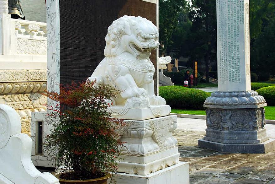 כלבי הפנג שואי פו או אריות השומר הקיסרי הם סמל הגנה חזק לפנג שואי