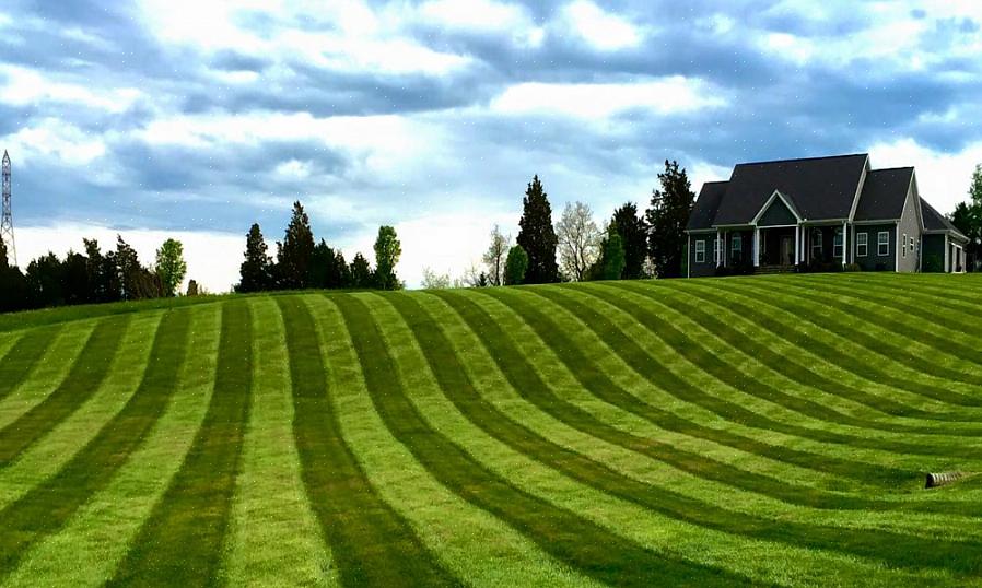 פסים אינם אלא לדחוף את הדשא למטה בכיוון אחד ואז לכיוון השני כשאתה מכסח את הדשא