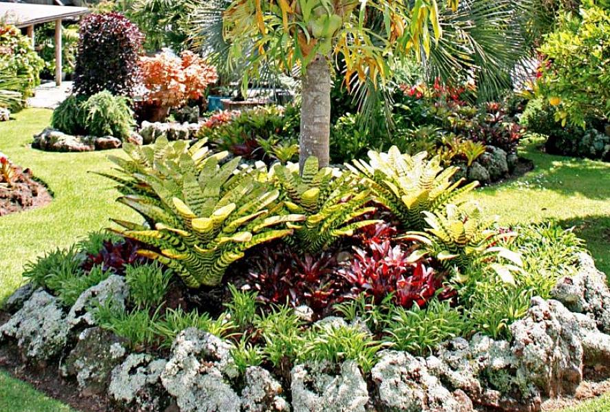 כלל האצבע לצד המעשי של עיצוב הנוף שלך הוא לקבץ צמחים עם דרישות גידול דומות יחד