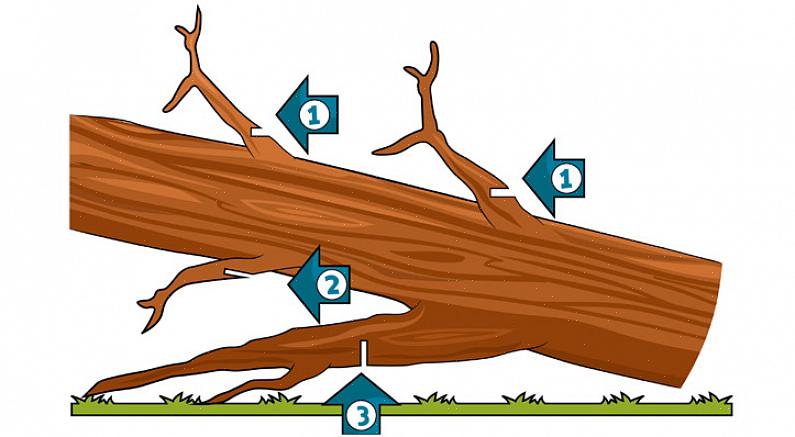 חתכי קפיצה מאפשרים לגזום את האיבר לקפוץ הרחק מהעץ וגם מהחתן