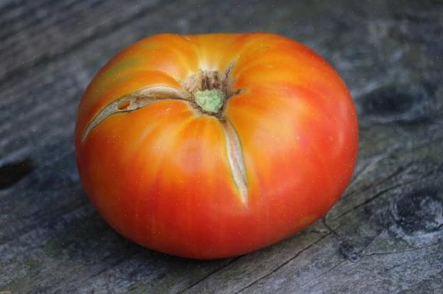 Csikos botermo - הנה עגבנייה אשכולית מתוקה שיש לה פסים צהובים מקסימים על עור אדום