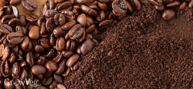 הוספת טחנות קפה ומסנני קפה מנייר משומשים לקומפוסט שלך תספק חומר קומפוסט ירוק