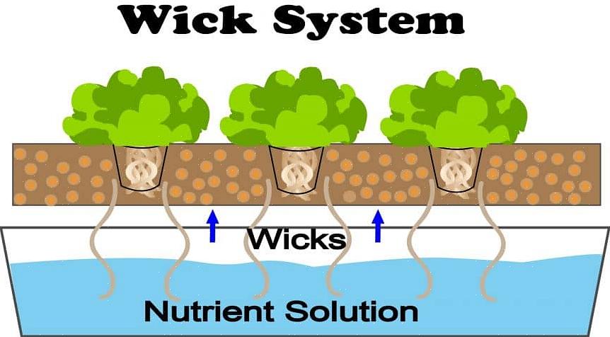 אופן פעולתה של מערכת Wick דומה לשיטת רפסודת החסה מכיוון שהשורשים תמיד נמצאים במגע עם מים