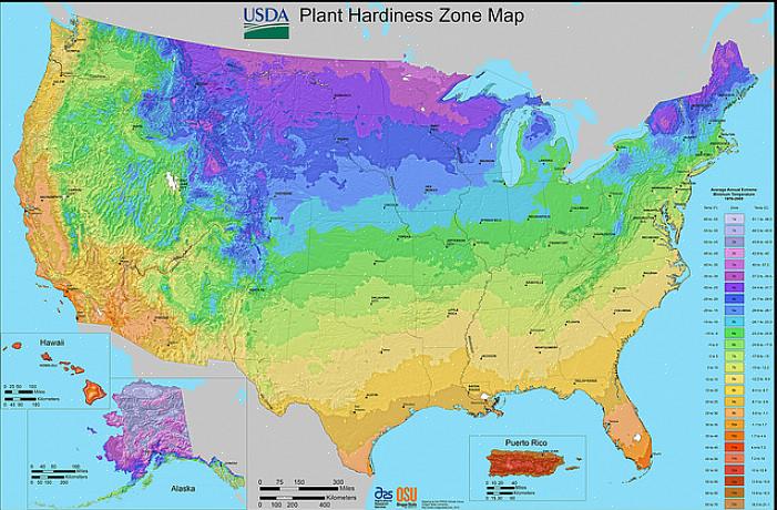 אם אינך בטוח אילו צמחים ישגשגו במיקום הספציפי שלך בצפון קרוליינה