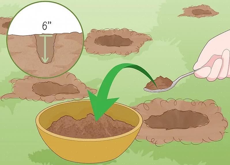 רוב הצמחים יכולים להסתגל ל- pH בקרקע שנע בין 6 ל -7,5