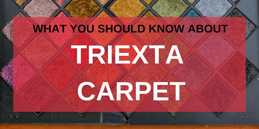 כאשר משווים שטיח ניילון לשטיח triexta באיכות שווה ערך
