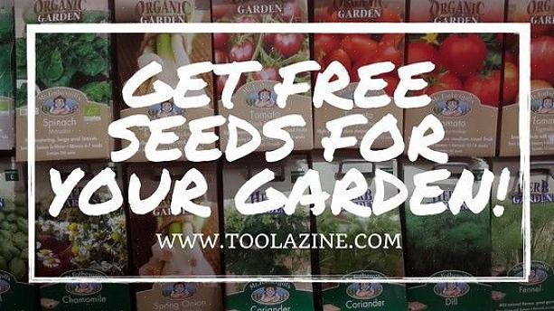 ייתכן שתקבל גם כמה זרעים בחינם כשתבקש קטלוג זרעים בחינם