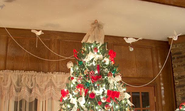 ויש מגוון רחב של מאכלים שתוכלו להציע על עץ חג המולד של ציפורים שיתקבל בברכה על ידי ציפורי החורף
