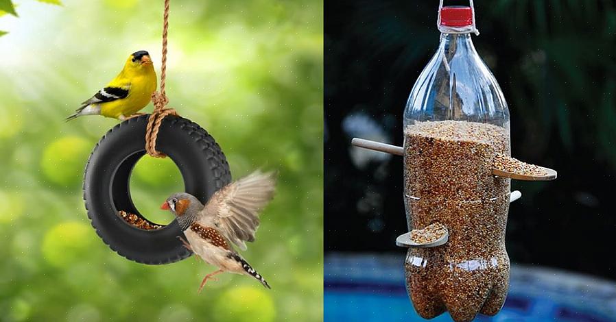 פרויקט משפחתי נהדר לאוהבי ציפורים הופך בקבוק פלסטיק רגיל בן 2 ליטר למזין ציפורים פונקציונלי
