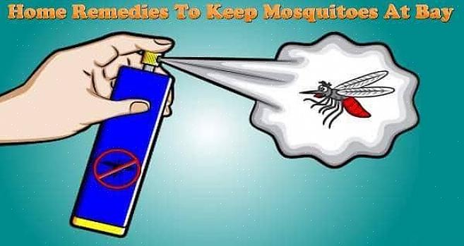 איך אתה יכול לשלוט או להרוג את זחלי היתושים שעשויים להסתתר במקומות האלה