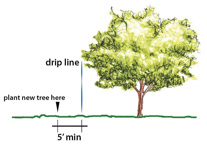 הצינורות נחשים סביב ובין צמחים ועצים כדי להכניס מים לאדמה בשורשים