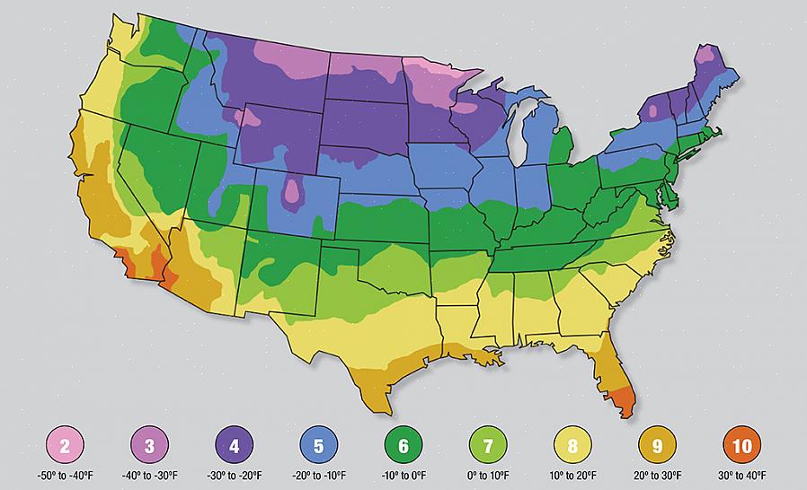 מפת אזור קשיחות הצמחים של USDA היא התייחסות רחבה המסייעת לגננים ומגדלים אחרים לבחור צמחים המתאימים לאקלים