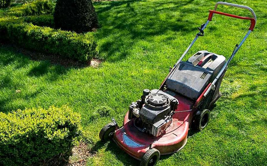 אם אתה זקוק למכסחת דשא חדשה ואינך יכול לחכות למבצעי סוף העונה