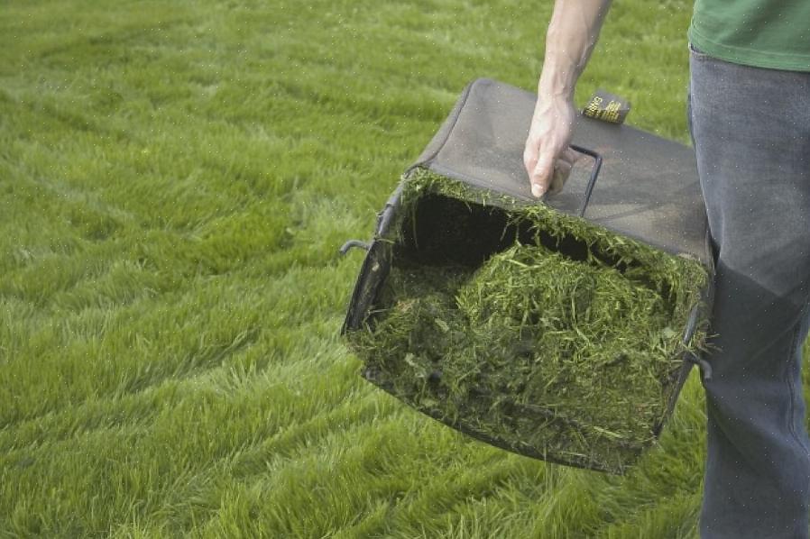 דרך טובה לעקוף את הצורך בשקית או לגרוף גזרי דשא היא לכסח בעזרת מכסחת צורות