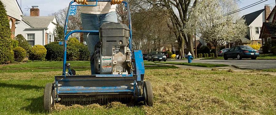 מדשאות "ניתוק" מתייחס להסרה מכנית מדשא של שכבת רקמת הדשא המתה המכונה "סכך"