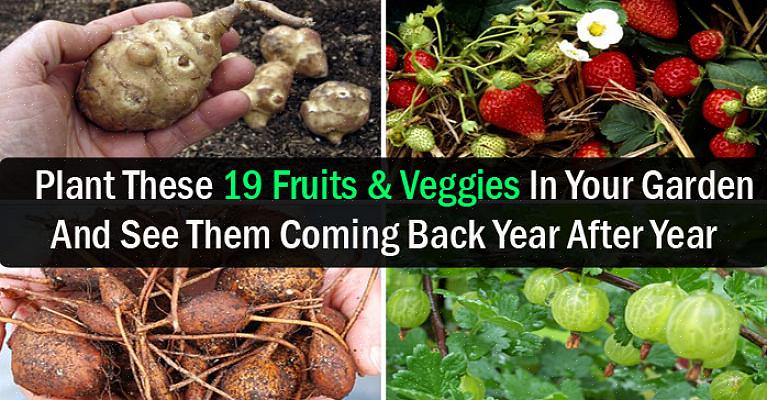 עיין באתר של אריק טוונסמאייר ירקות רב שנתיים ובספרו "ירקות רב שנתיים