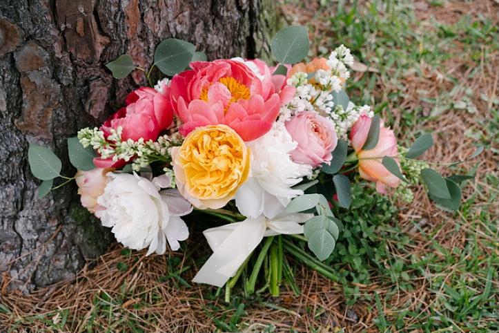 כלות שבוחרות בפרחי חתונה ורודים או לבנים יכולות להוסיף את פריחת ליאתריס הנוצה למבטאים אנכיים