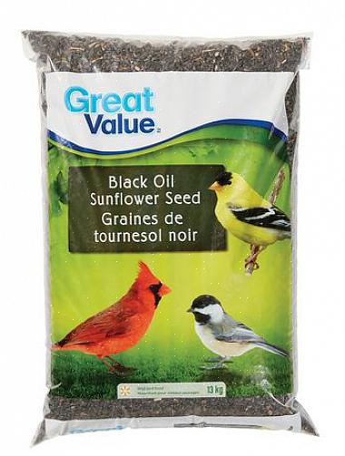 זרעי חמניות משמן שחור הם הסוג המוכר והפופולרי ביותר של זרעי ציפורים