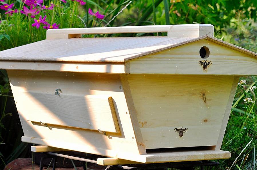 חוות הדבש של צימרים מוכרת דבורי חבילה