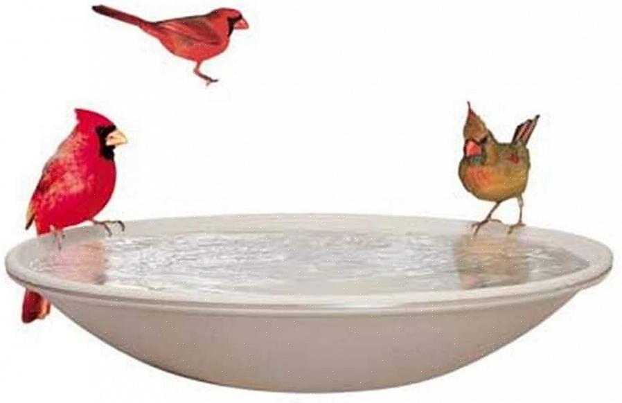 על ידי שימוש באמבט ציפורים מחומם כראוי