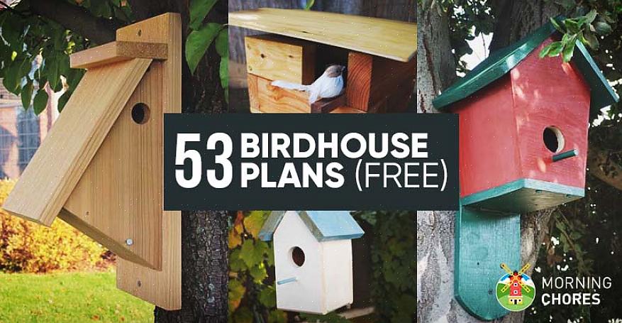 קל לבנות בית ציפורים כאשר אתה מנצל את תוכניות הציפורים השונות בחינם הזמינות ממשאבים מקוונים מכובדים