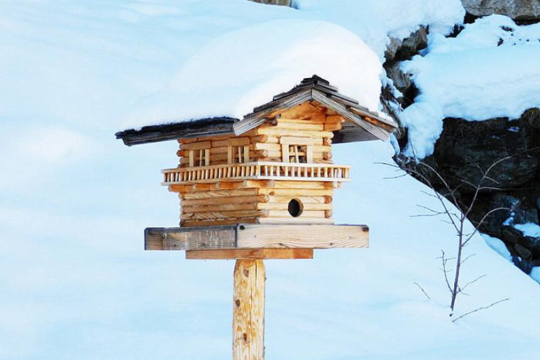 ומתן מקלט והגנה יסייעו במשיכת ציפורים נוספות לחצר האחורית של החורף