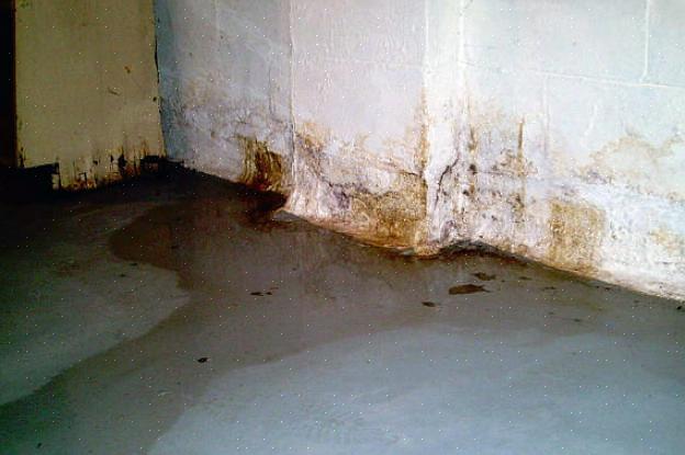 לחות במרתף עשויה להיות ברורה כמו להתבונן בקו המים שעובד לאט לאט במעלה קירות המרתף